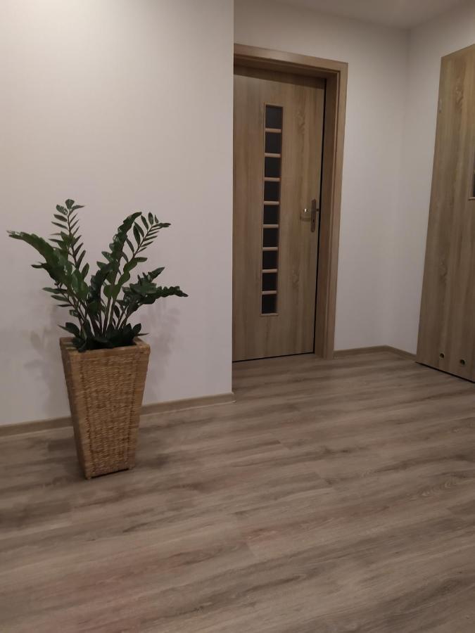 Apartament Kaola Jelenia Góra Eksteriør bilde